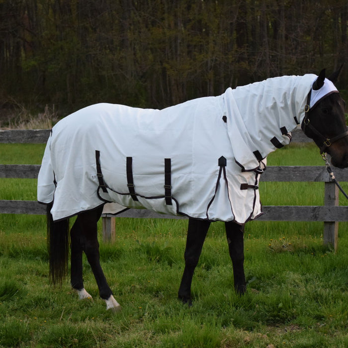 5 Benefits of Using a Horse Fly Sheet
