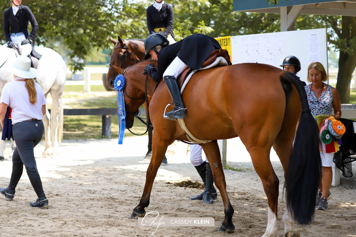 Preparing for Show Season — The Hitching Post Tack Shop