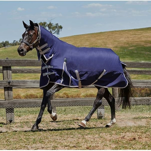 Understanding Horse Blankets