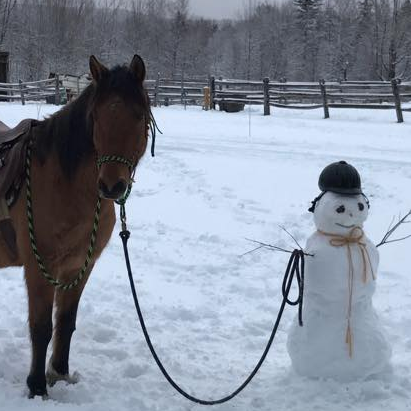 How Create An Extra-Cozy Bond With Your Horse The Winter