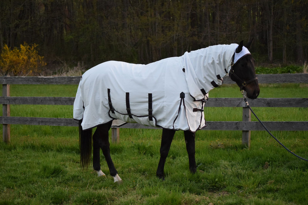 5 Benefits of Using a Horse Fly Sheet — The Hitching Post Tack Shop