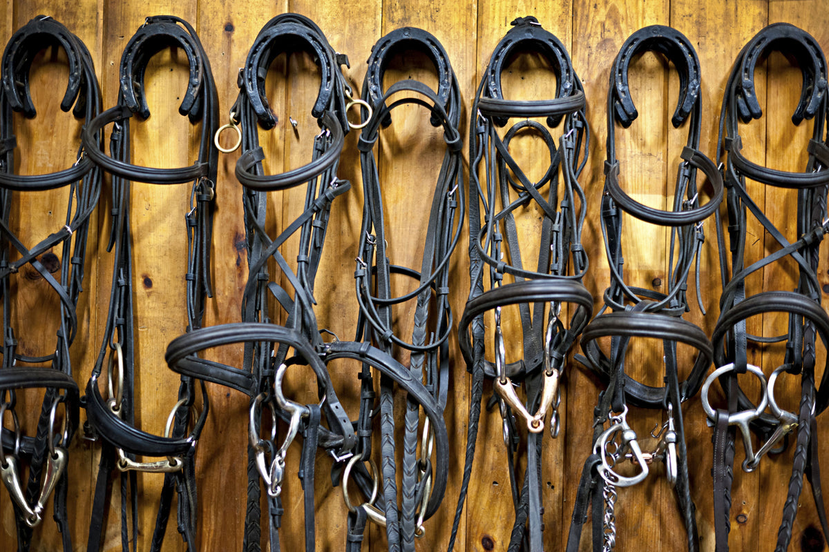 Tack Maintenance: Dos and Don'ts — The Hitching Post Tack Shop