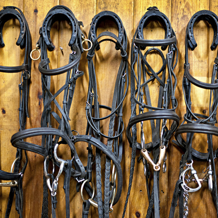 Tack Maintenance: Dos and Don'ts
