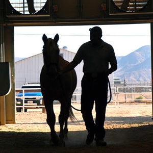 Barn Maintenance