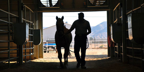 Barn Maintenance