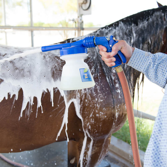 Horse Bathing Guide