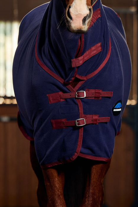 A close-up of the front of a horse wearing a navy blue cooler blanket and hood with burgundy trim and straps, photographed in a stable setting.