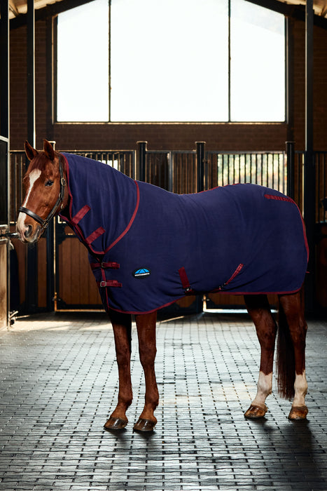A brown horse standing in a stable wearing a navy blue cooler with burgundy trim and straps and detachable hood. The stable has wooden stalls and large windows in the background.