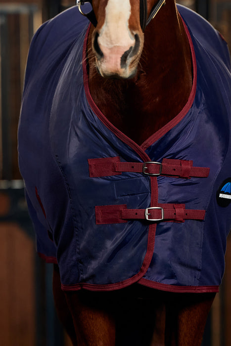 A close-up of a horse wearing a navy blue cooler with burgundy trim and double buckle straps, set against a dark stable background.
