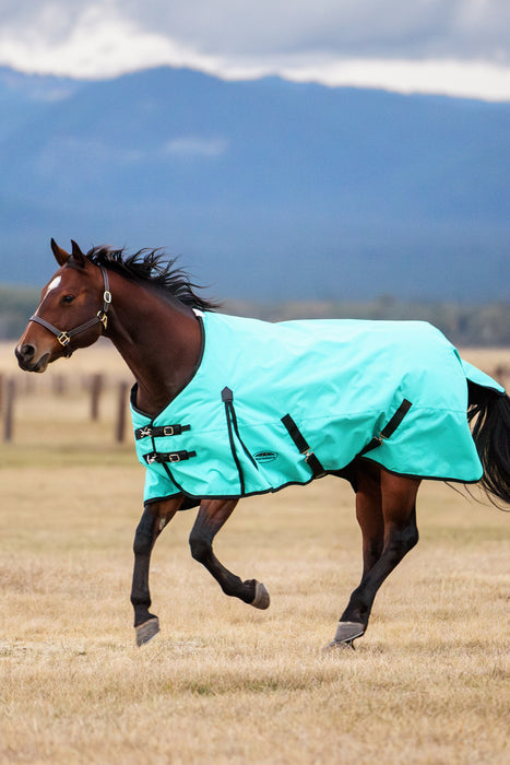A brown horse running in a dry grass field with mountains in the background, wearing a bright turquoise horse blanket with black straps and trim.