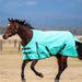 A brown horse running in a dry grass field with mountains in the background, wearing a bright turquoise horse blanket with black straps and trim.