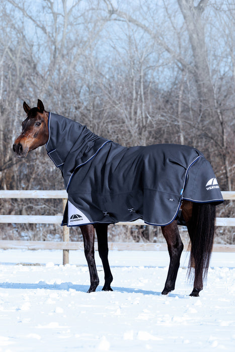 A dark gray horse turnout blanket with an attached neck cover is shown on a brown horse standing in a snowy outdoor paddock with bare trees in the background.
