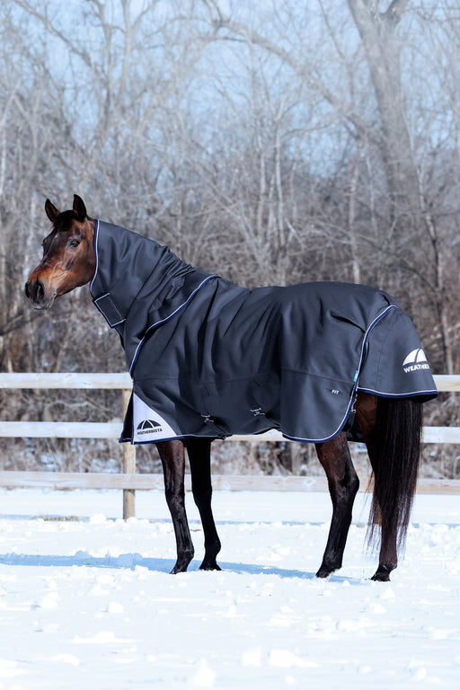 A dark gray horse turnout blanket with an attached neck cover is shown on a brown horse standing in a snowy outdoor paddock with bare trees in the background.
