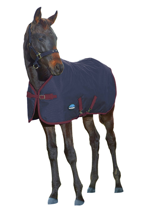 A dark brown foal wearing a navy blue turnout blanket with burgundy trim and straps, isolated on a white background.