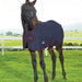 A dark brown foal standing in a grassy field wearing a navy horse blanket with burgundy trim and crossing surcingles. A white fence and distant hills are visible in the background.