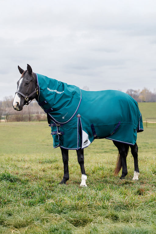 A dark horse standing in a grassy field wearing a forest green orse turnout blanket with white trim and branding.