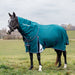 A dark horse standing in a grassy field wearing a forest green orse turnout blanket with white trim and branding.