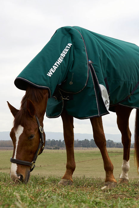 A brown horse grazing in a field while wearing a dark green WeatherBeeta horse blanket with white lettering, set against an overcast sky and distant landscape.