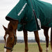 A brown horse grazing in a field while wearing a dark green WeatherBeeta horse blanket with white lettering, set against an overcast sky and distant landscape.