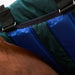 Close-up of a quilted horse blanket with a dark green outer section, a bright blue inner section, and black straps with metal buckles, shown on brown horse fur.