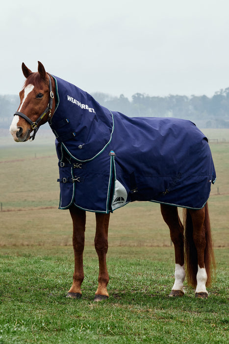 A brown horse standing in a grassy field wearing a navy blue horse blanket with white trim and the brand name 'WeatherBeeta' printed on the neck cover.