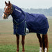 A brown horse standing in a grassy field wearing a navy blue horse blanket with white trim and the brand name 'WeatherBeeta' printed on the neck cover.