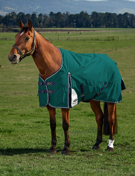 ComFiTec Plus Dynamic Turnout 100G