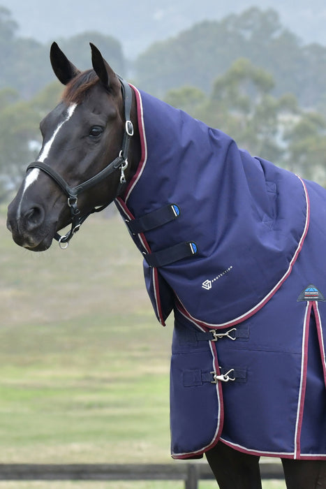 A dark brown horse wearing a navy blue turnout blanket with burgundy and white piping, set against a blurred outdoor paddock background.