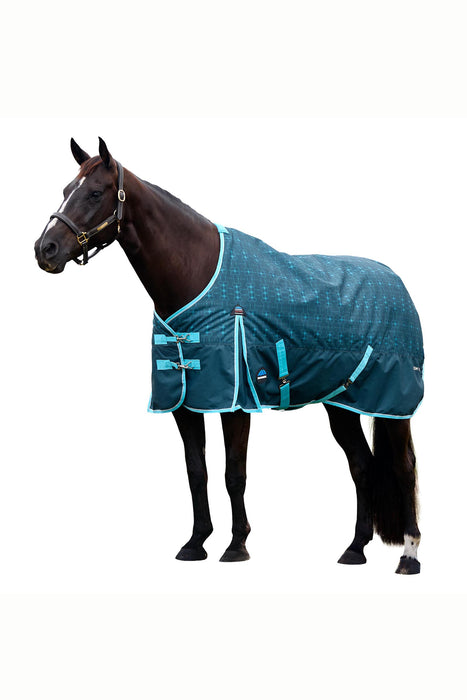 A dark brown horse wearing a teal blue horse blanket with light blue trim, shown against a solid white background.