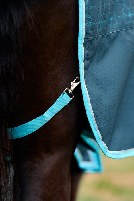 Close-up of a horse wearing a dark teal turnout blanket with bright turquoise trim and matching leg strap attached with a metal clip.