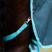 Close-up of a horse wearing a dark teal turnout blanket with bright turquoise trim and matching leg strap attached with a metal clip.