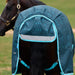 A dark brown horse wearing a teal and turquoise patterned turnout blanket with a reflective silver stripe on the back, set against a blurred green field.
