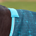 Close-up of a horse wearing a teal and blue patterned turnout blanket with a light blue fleece neck collar, set against a blurred green outdoor background.