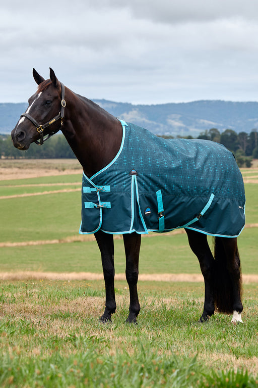 A dark brown horse standing in a grassy field wearing a teal horse blanket with light blue trim and pattern, with hills and a cloudy sky in the background.