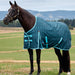 A dark brown horse standing in a grassy field wearing a teal horse blanket with light blue trim and pattern, with hills and a cloudy sky in the background.