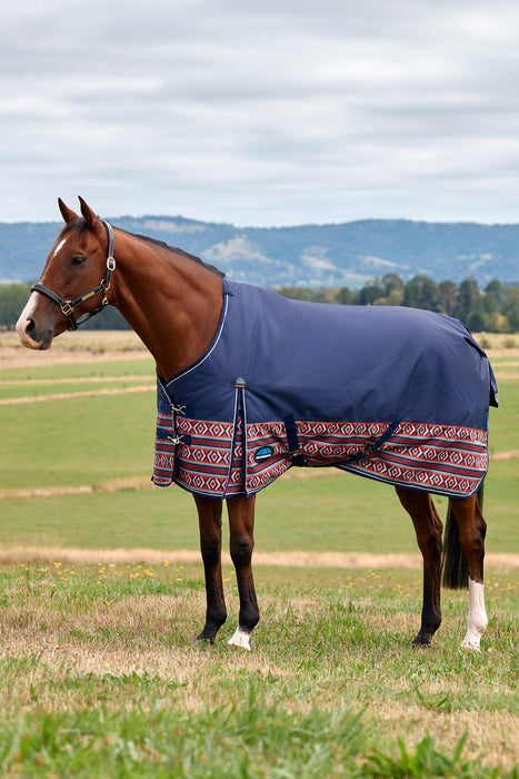 A brown horse standing in a grassy field wearing a navy blue horse rug with a red and beige patterned border, with hills and a cloudy sky in the background.