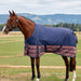 A brown horse standing in a grassy field wearing a navy blue horse rug with a red and beige patterned border, with hills and a cloudy sky in the background.