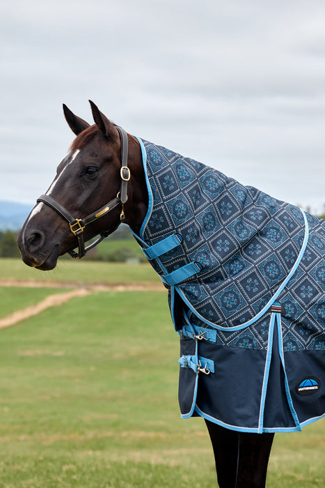 A dark brown horse standing in a grassy field wearing a blue patterned turnout blanket with light blue trim and a navy neck cover.