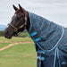 A dark brown horse standing in a grassy field wearing a blue patterned turnout blanket with light blue trim and a navy neck cover.