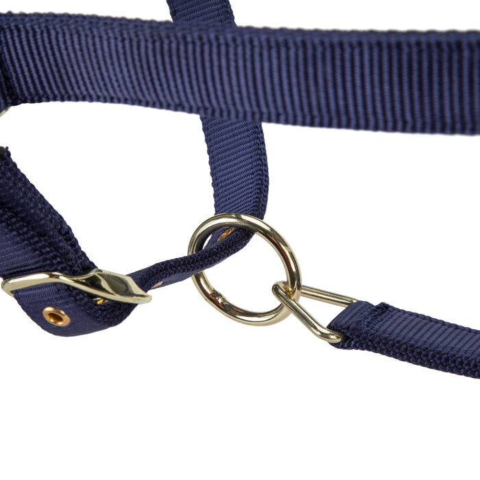 Shires ARMA Pro Padded Halter