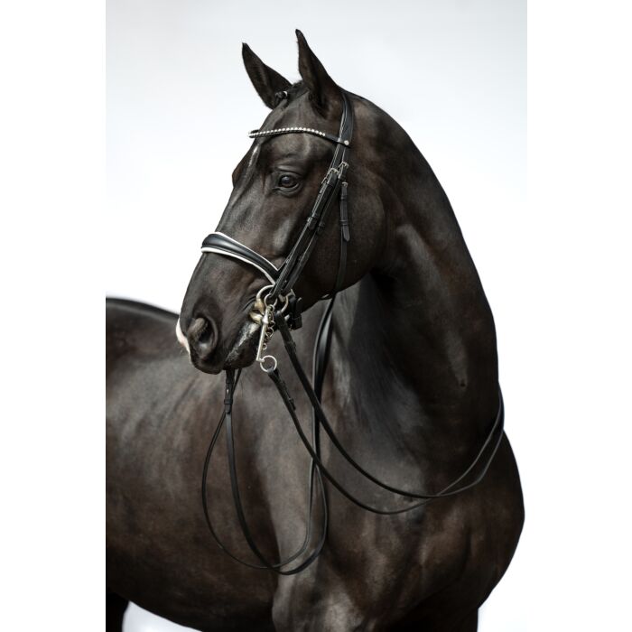 Dina Double Bridle