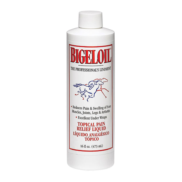 Bigeloil Gel for Horses