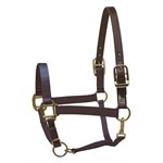 Perri's Leather Nylon Safety Halter