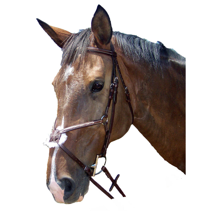 Pro-Trainer Silver Fancy Raised Padded Figure 8 Bridle