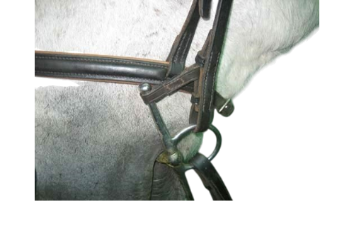 Camelot Leather Bit Loops