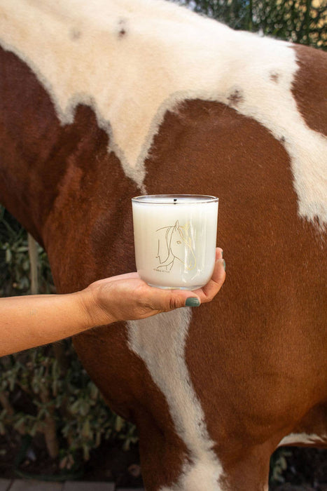 Stable Style - Horse Soy Wax Candle - Spirit 