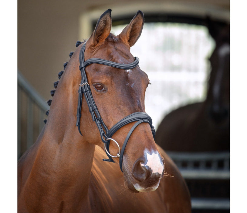 Shires Lusso Raised Padded Bridle