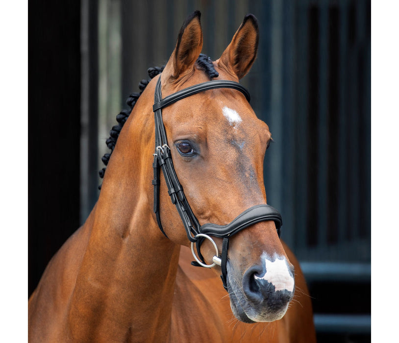 Shires Lusso Ergonomic Flash Bridle Full Black