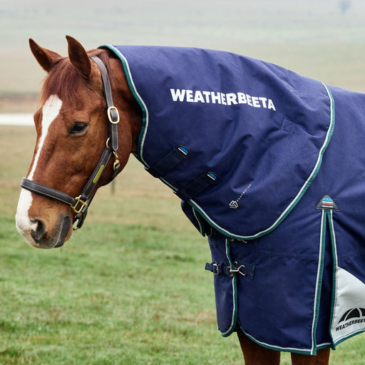 Horse wearing a Navy WeatherBeeta blanket with a detachable hood in an outdoor setting