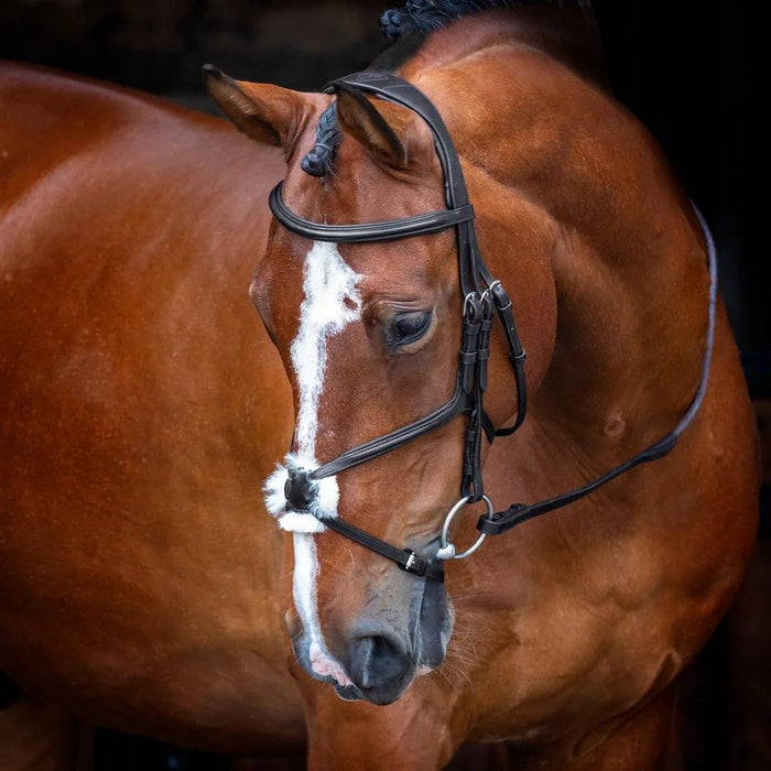 Shires Equestrian Velociti Rapida Figure 8 Bridle-